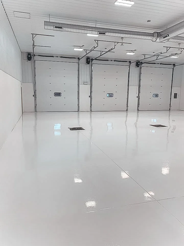 79823924_1456951834465014_2263379565206306816_n.jpg
